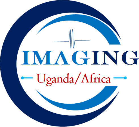 Imaging Uganda/Africa Logo